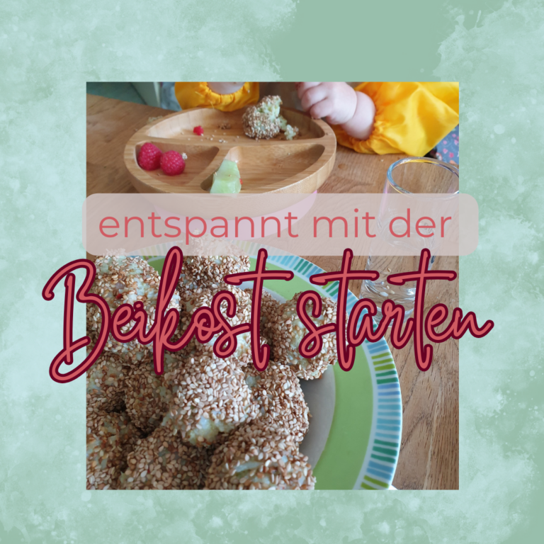 Titelbild Beikost Workshop